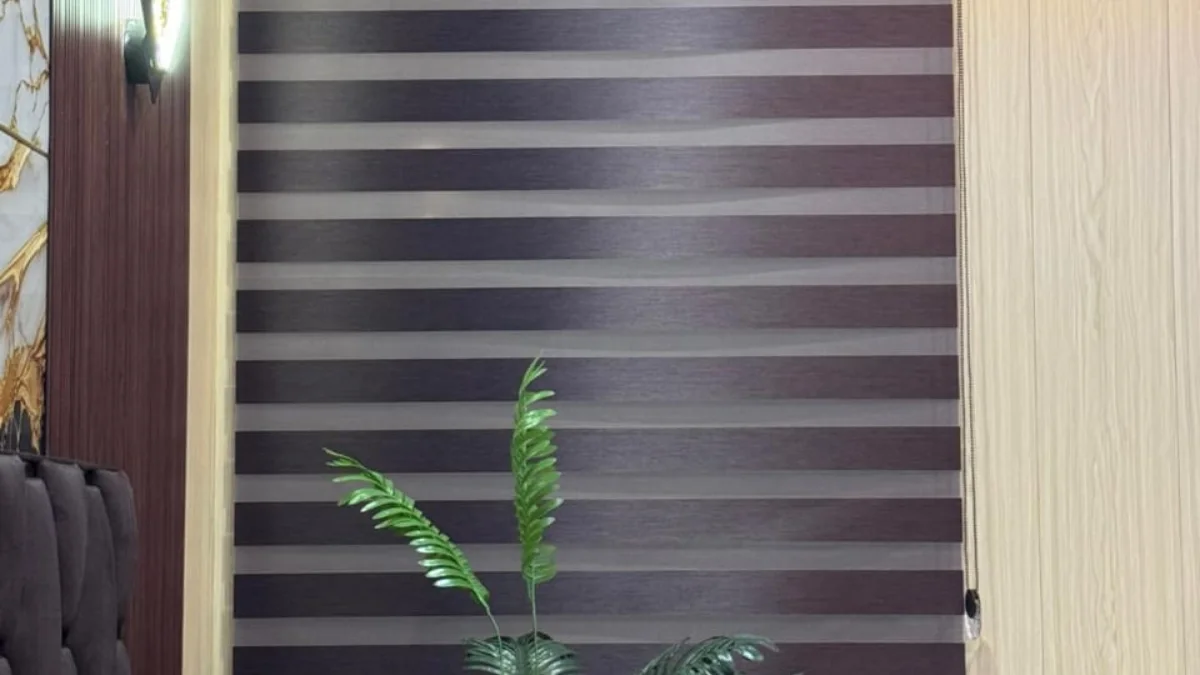 Zebra blind with alternating sheer and opaque horizontal bands